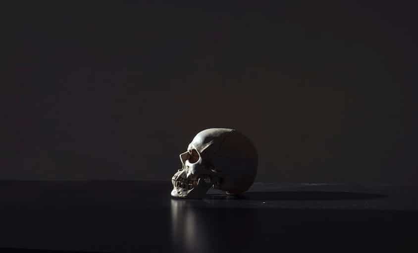 skull on black background