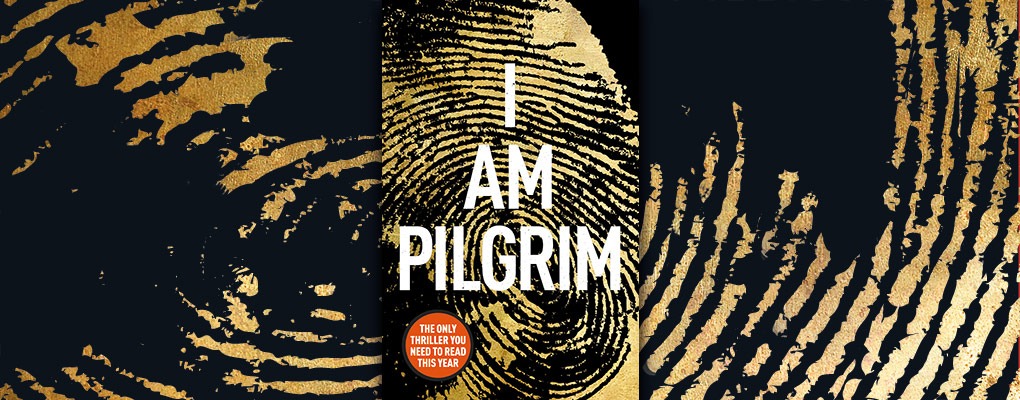 Image result for i am pilgrim terry hayes