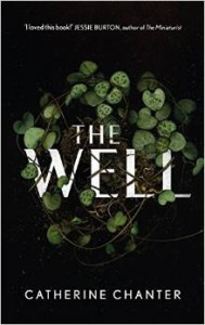 The-Well-by-cathrine chander