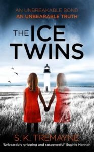 The-Ice-Twins-by-S.K Tremayne