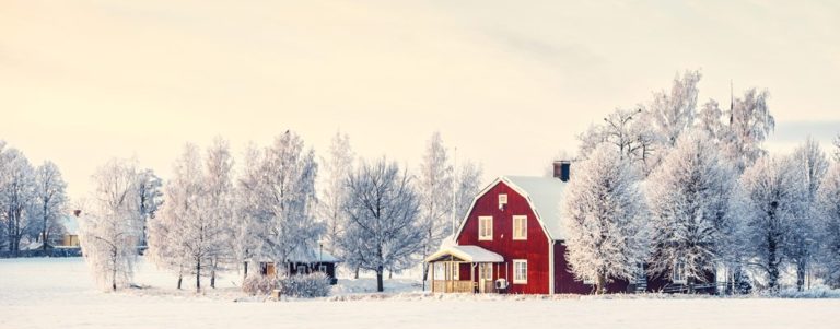swedish crime fiction