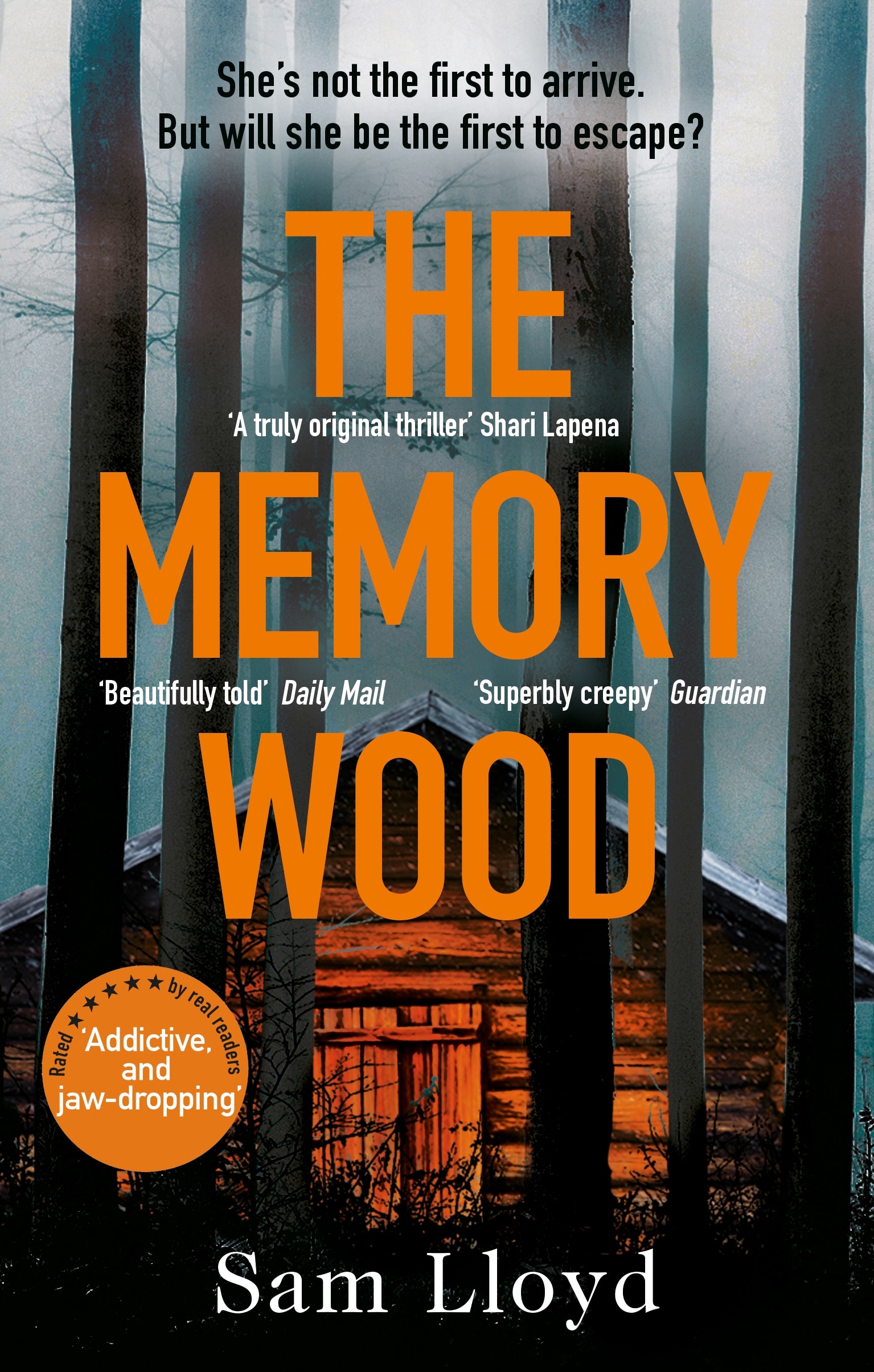 The Memory Wood by Sam Llloyd, one of the best books out this month