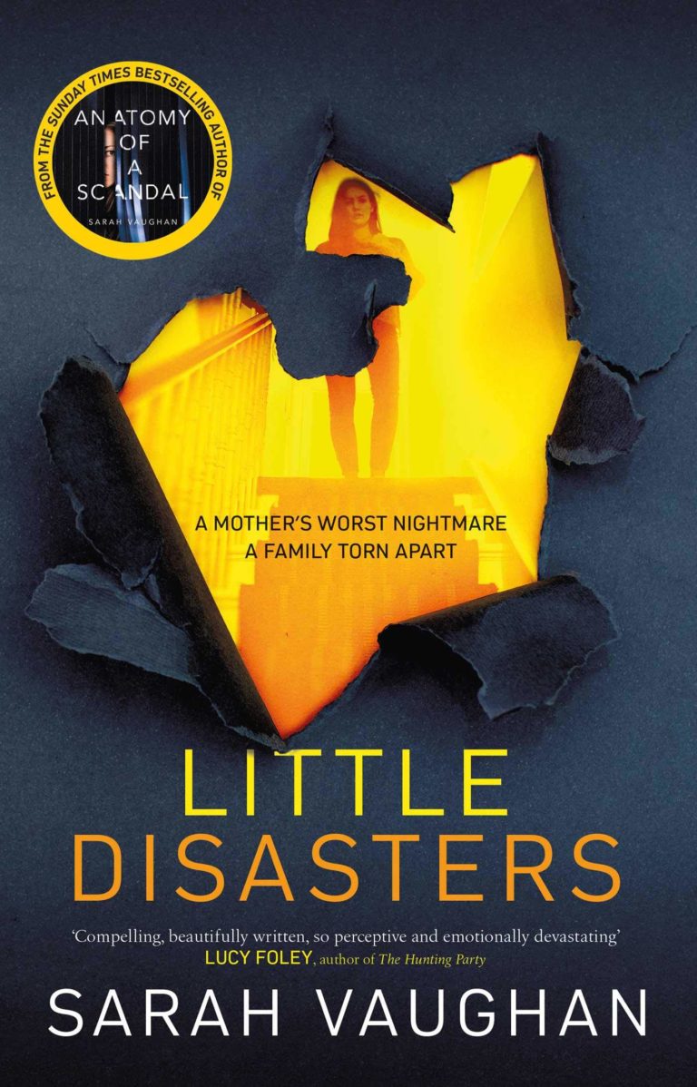 Little Disasters cover