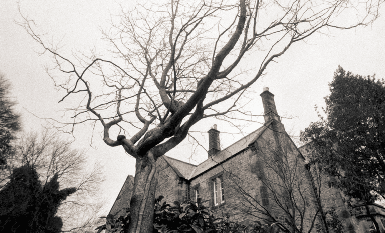 An old, haunted house is full of mystery