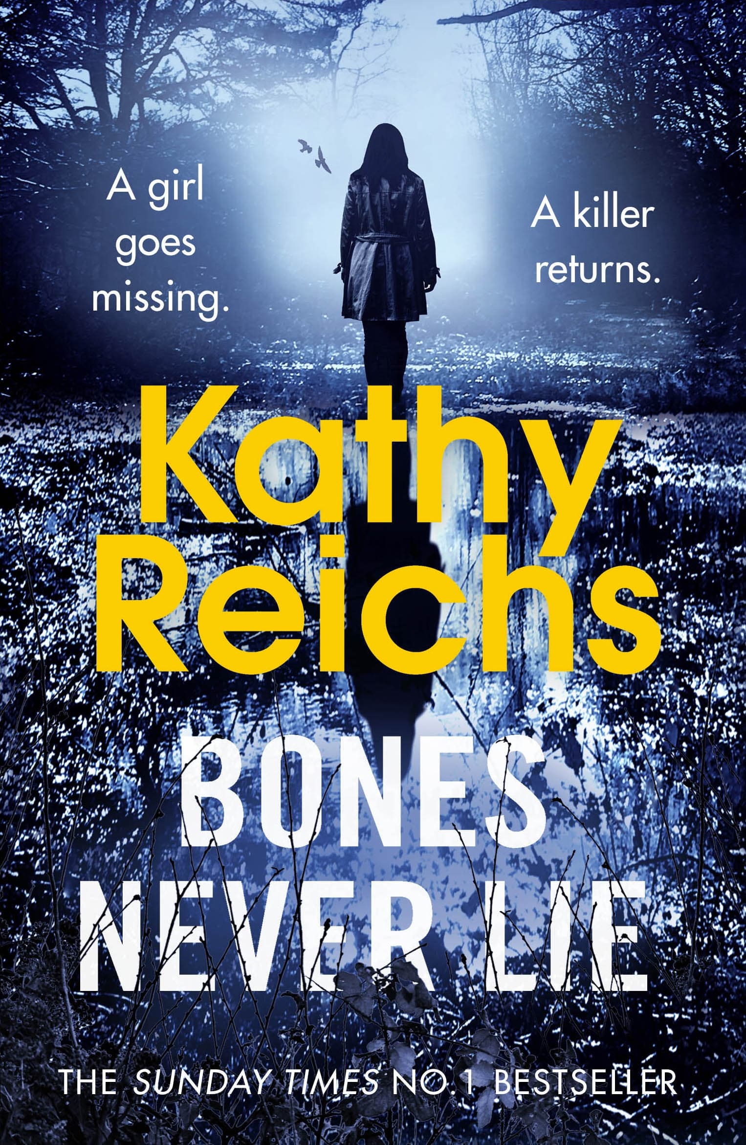 Book cover of Bones Never Lie by Kathy Reichs