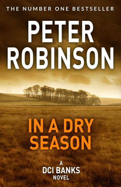 In A Dry Season cover