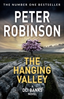 The Hanging Valley cover