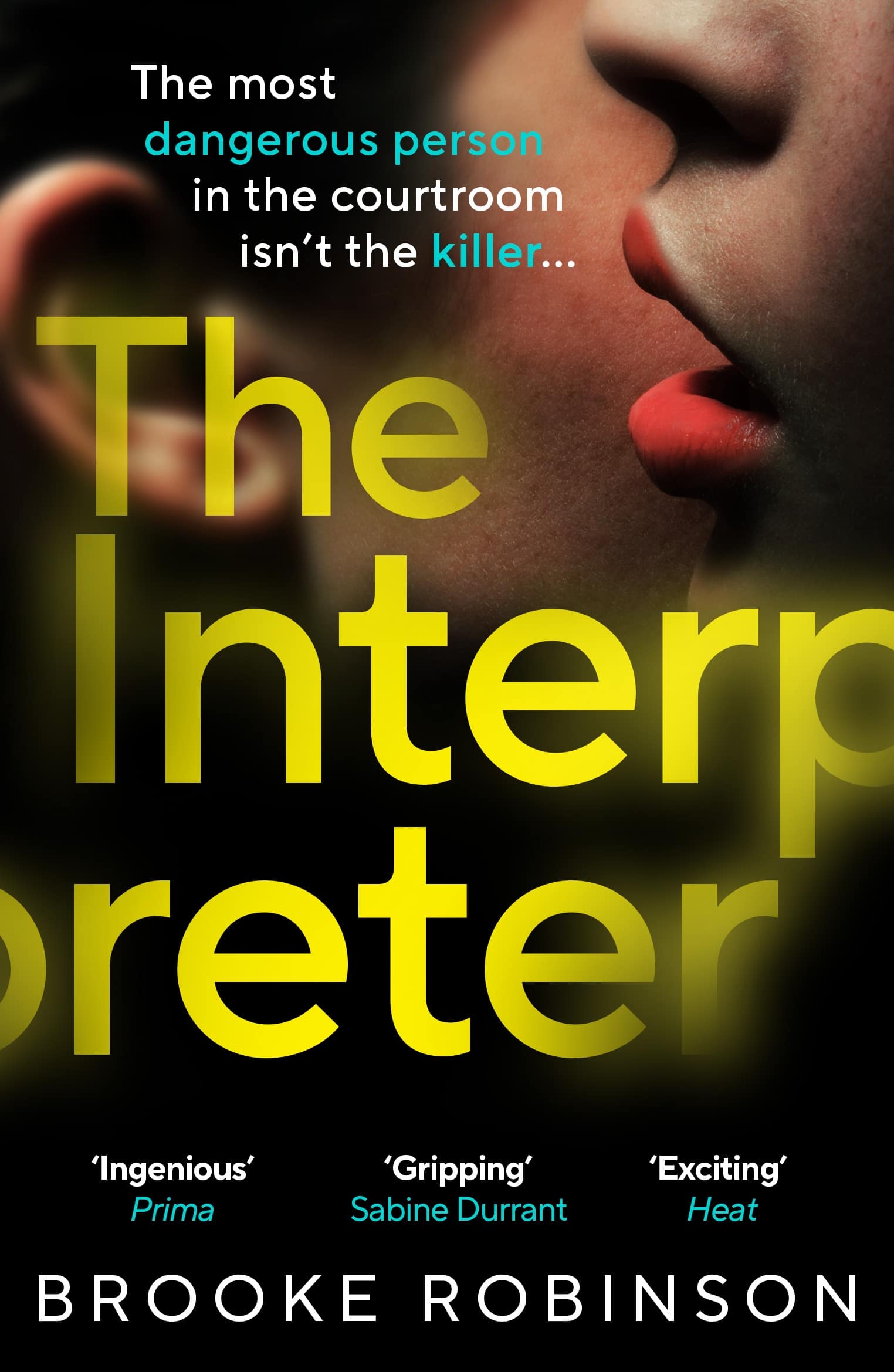 The Interpreter by Brooke Robinson book cover