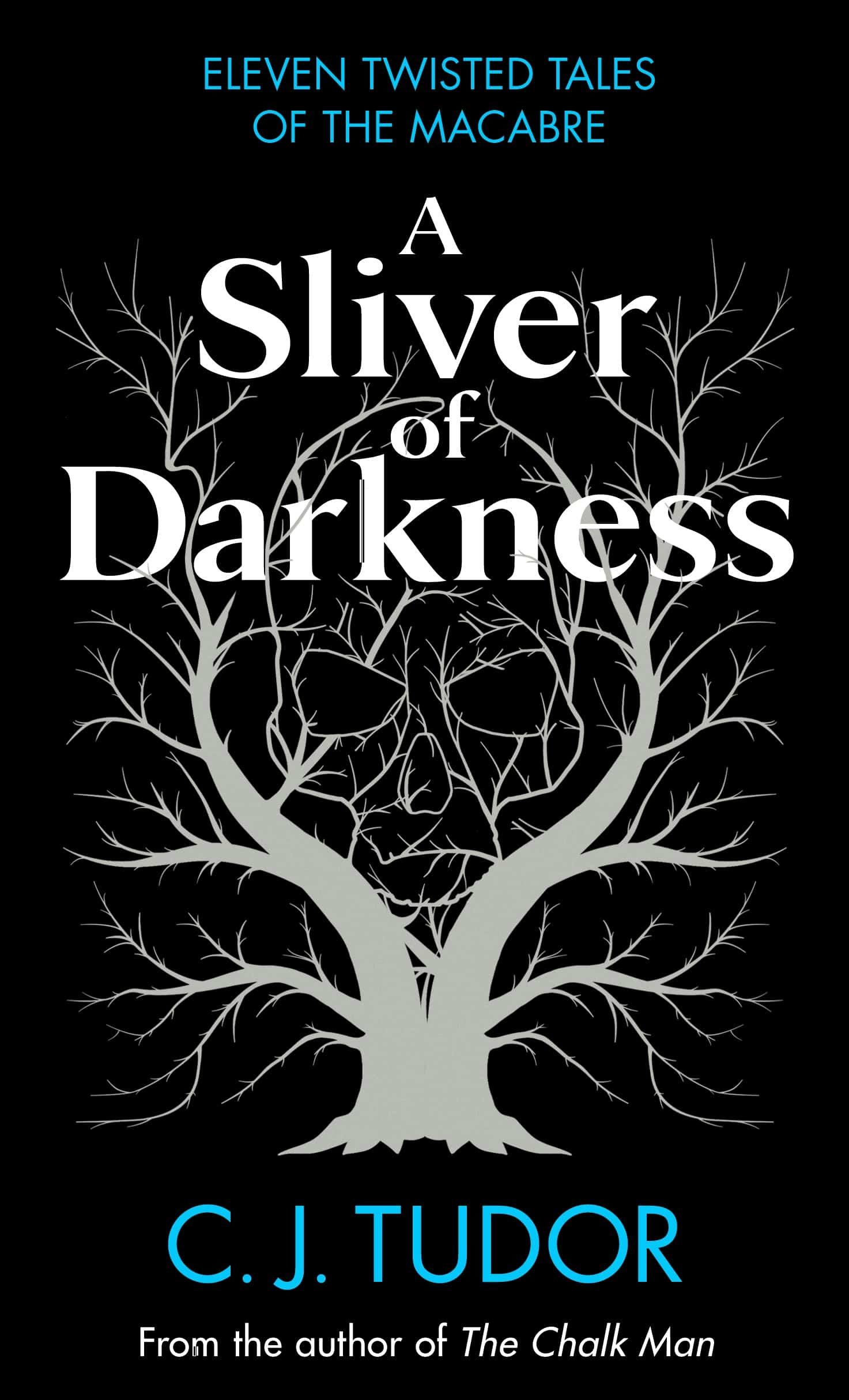 Book jacket of Sliver of Darkness by C. J. Tudor