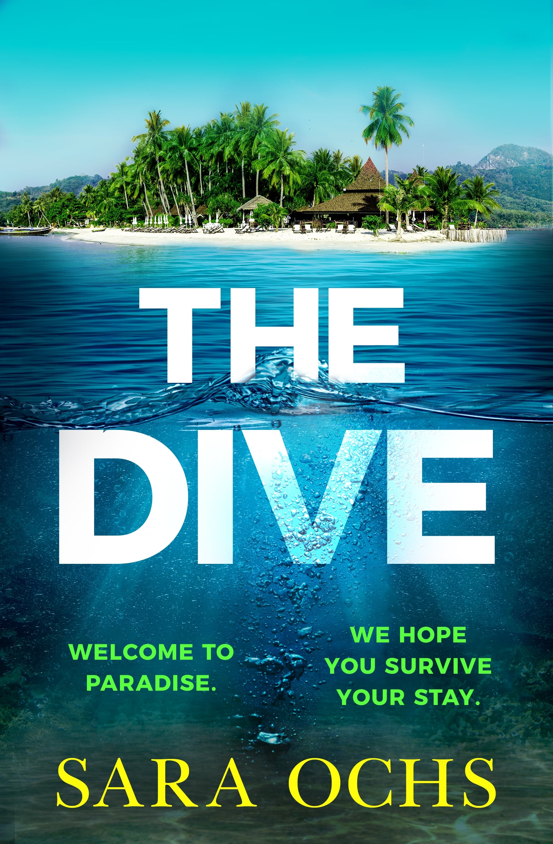 Book jacket of The Dive by Sara Ochs