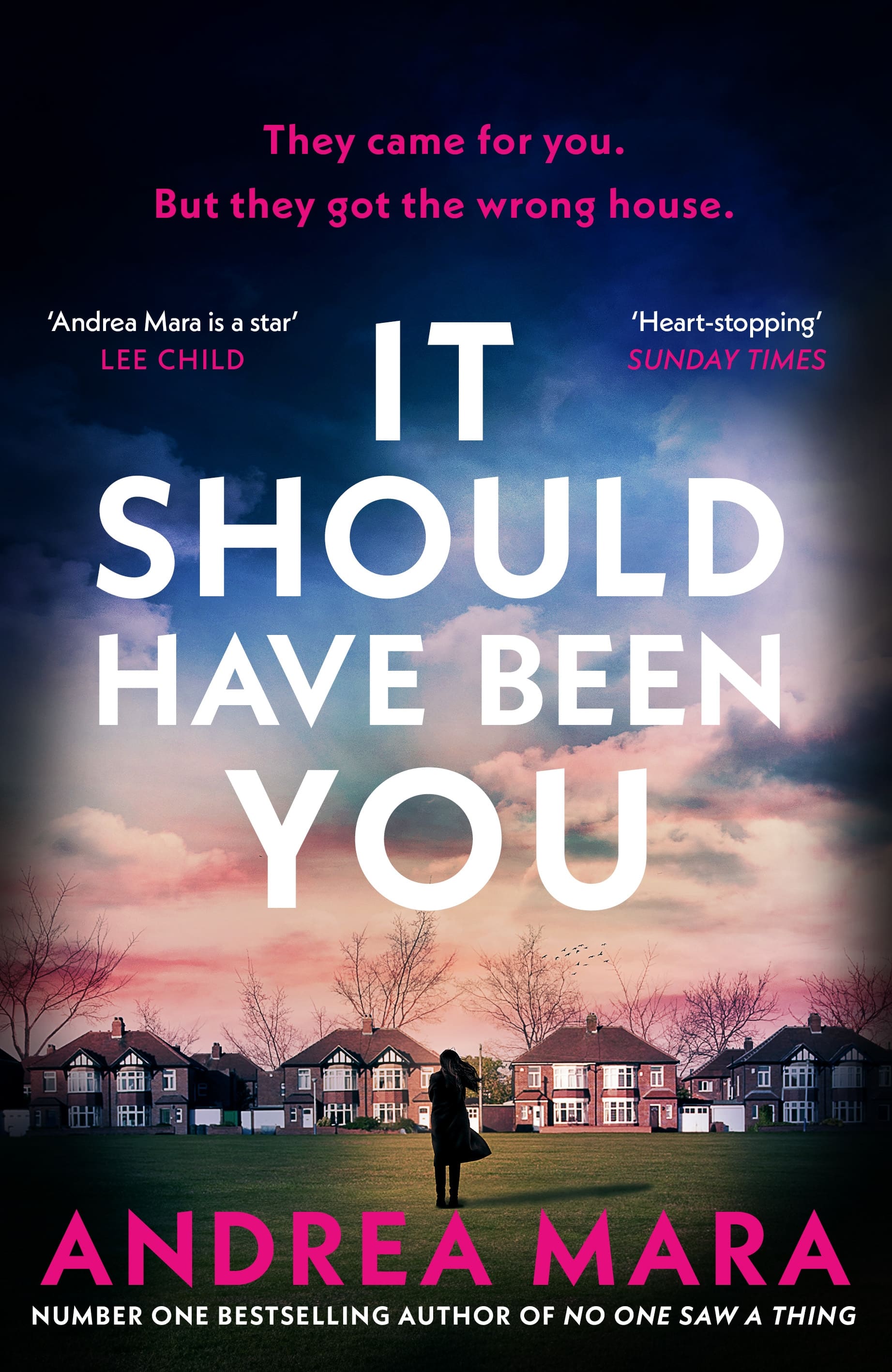 It Should Have Been You by Andrea Mara book cover