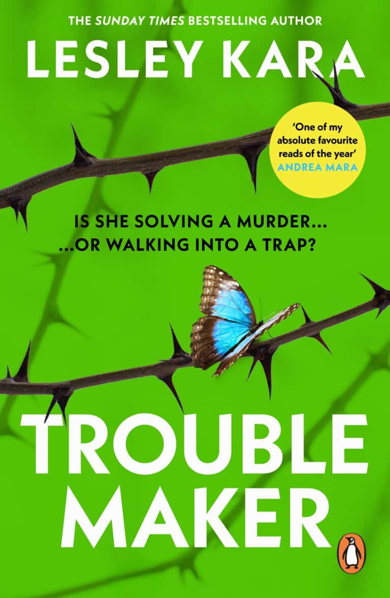 Troublemaker cover